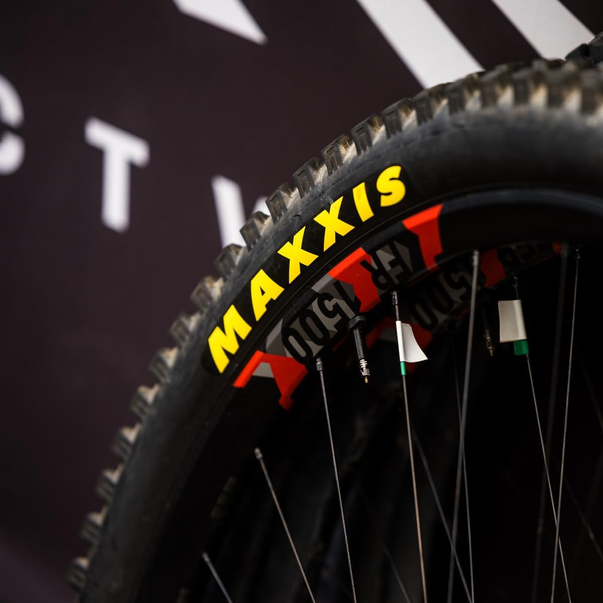 MSC Bikes Crossmark II Exo Kv Neumático - Negro